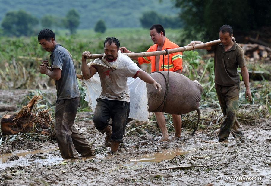 Continuous rainfalls affect millions of people across China