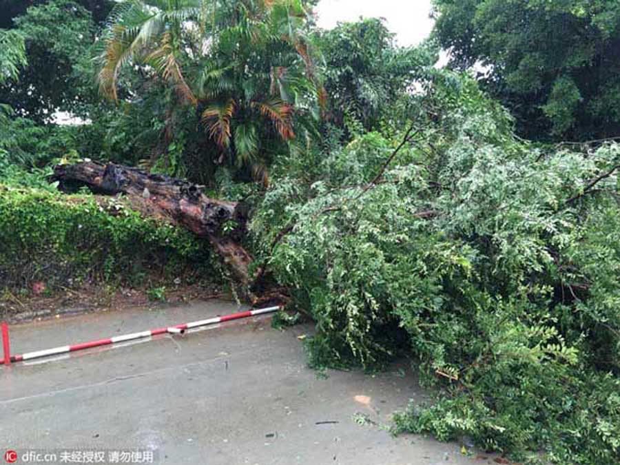 Sports venue turns makeshift shelters as Typhoon Nida lashes Shenzhen