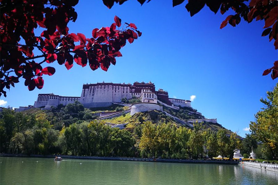 Under the blue sky of Tibet