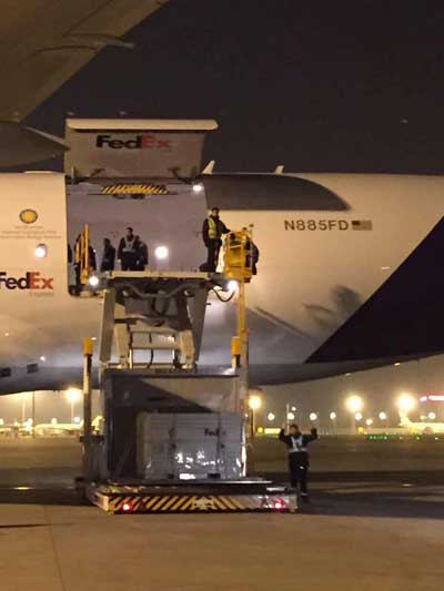 Bao Bao lands safely in China after return from US
