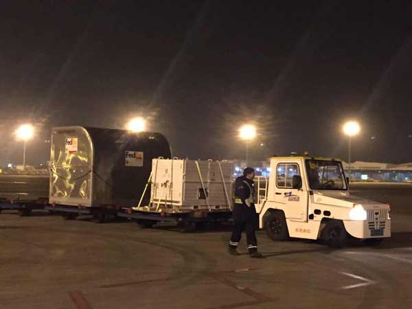 Bao Bao lands safely in China after return from US