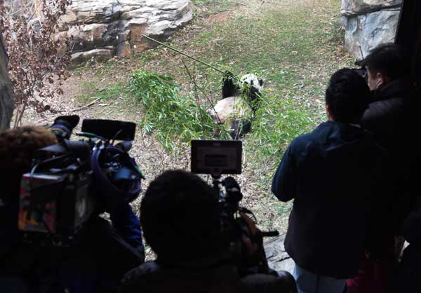 Bao Bao lands safely in China after return from US
