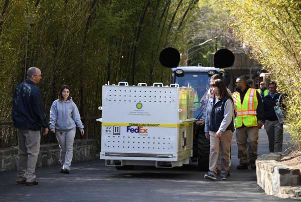 Bao Bao lands safely in China after return from US