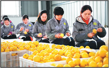 How to prosper when life gives you lemons