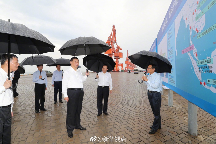 Xi: Belt and Road Initiative makes mark in global community