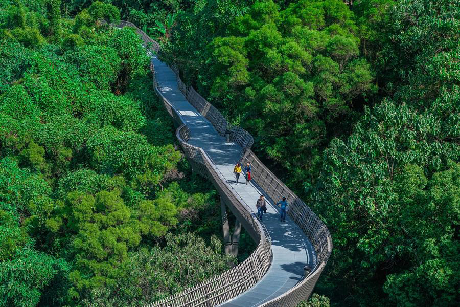 'Fudao' skywalk in East China's Fujian