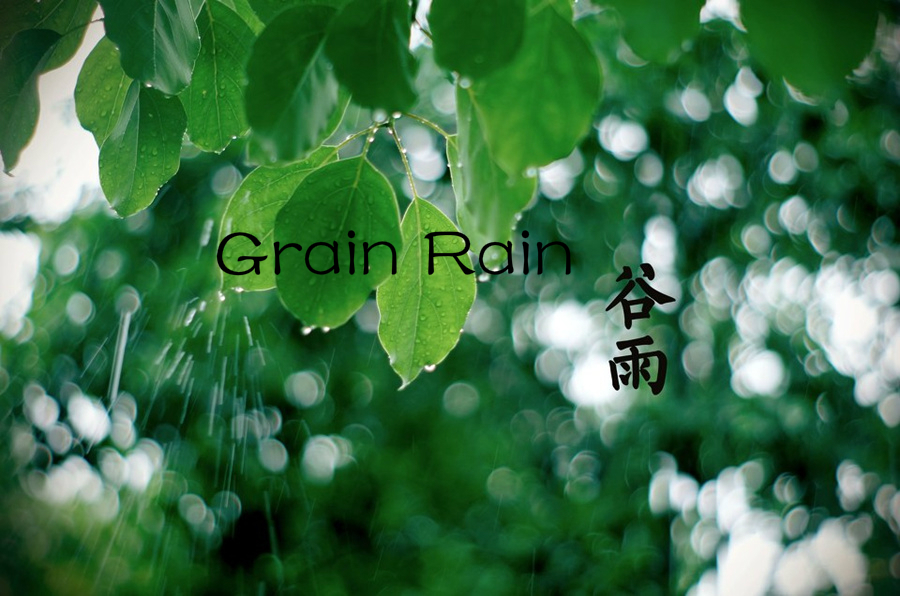 Culture Insider: Five things you may not know about Grain Rain