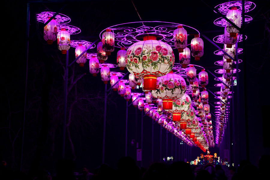 Lanterns lit up to celebrate Spring Festival