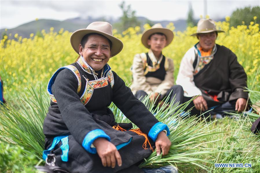 Traditional Wangguo Festival celebrated in China's Tibet