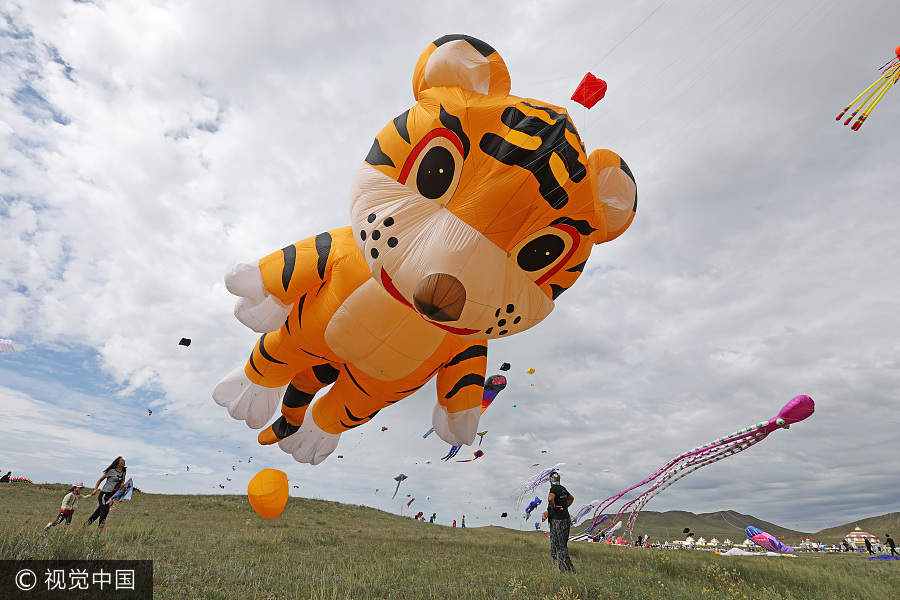 Int'l kite festival kicks off in Hebei