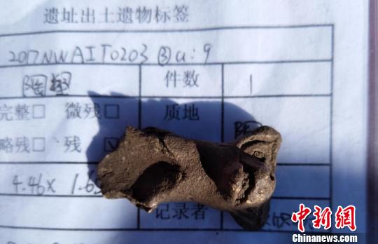 Neolithic relic sites discovered in NE China