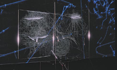 The web we weave