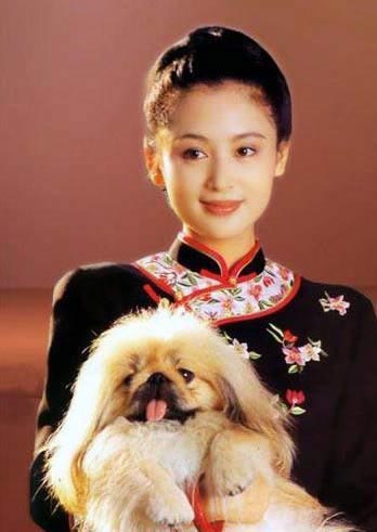 Most amazing chi-pao beauties