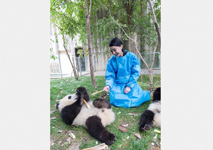 Zhou Xun visits base of giant panda in Sichuan