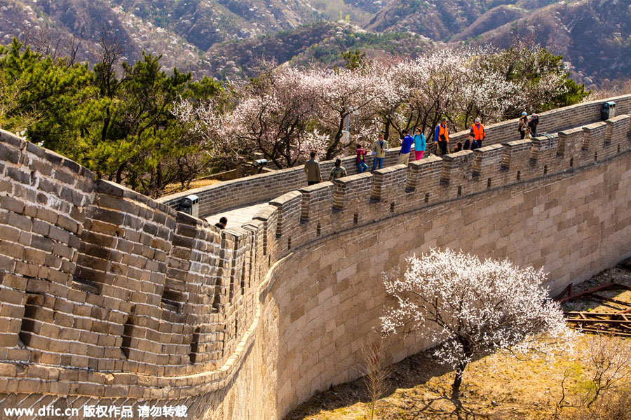10 destinations for a Qingming outing