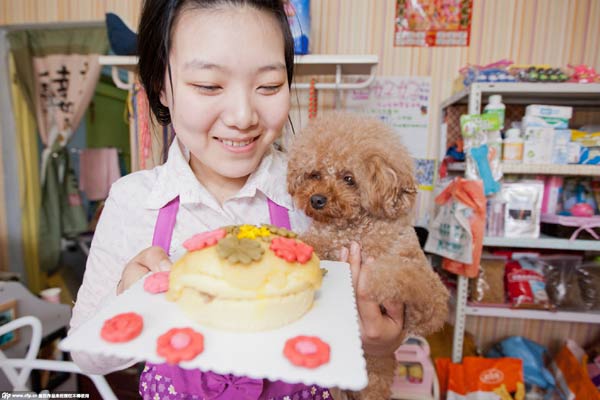 Get a birthday cake for your pets