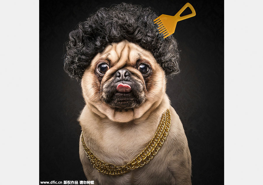 When pups catch up to hip-hop style