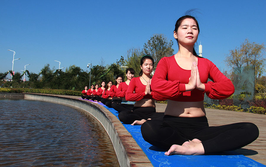 Yoga enthusiasts in harmony with nature