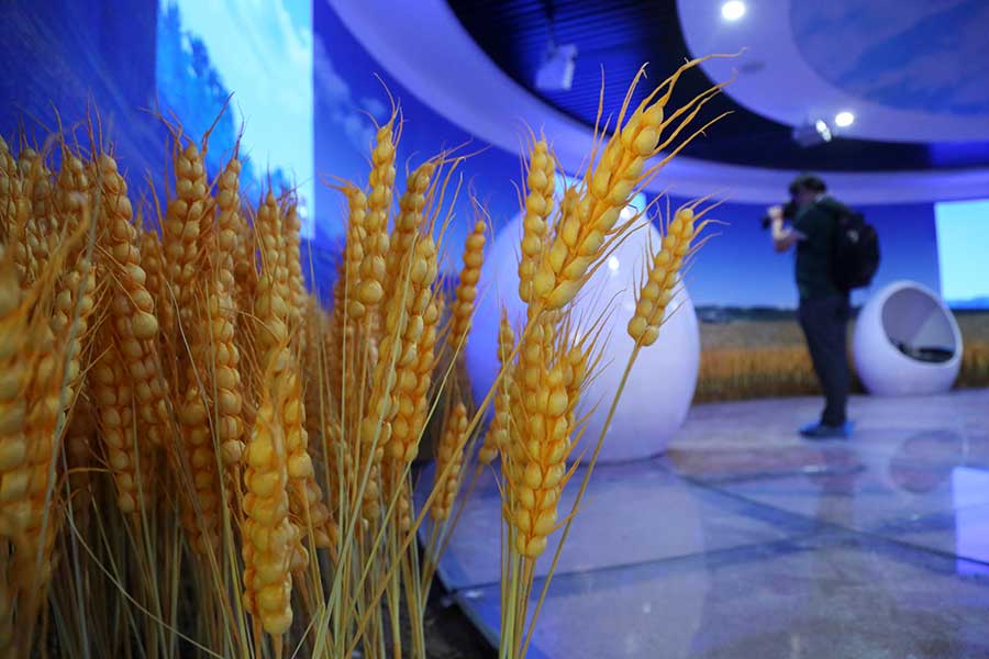 First wheat museum opens in Henan province