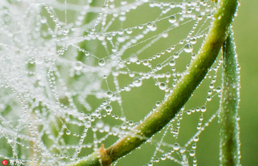 24 Solar Terms: 10 things you may not know about White Dew