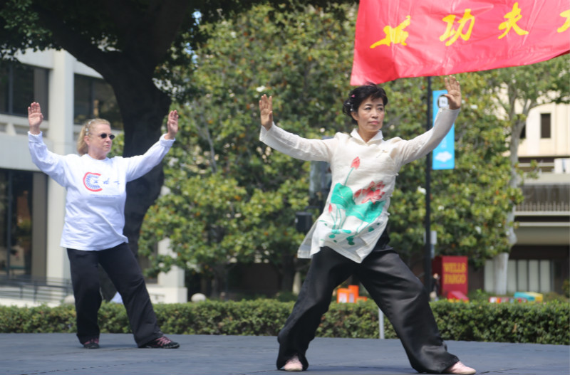 Chinese kung fu charms Silicon Valley