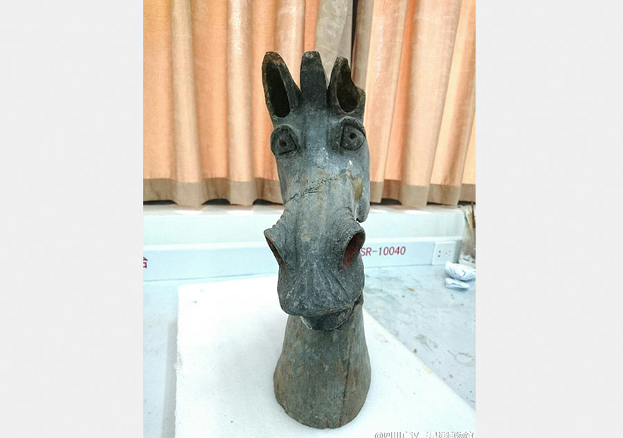 Horsehead-shaped relic a hit on the internet