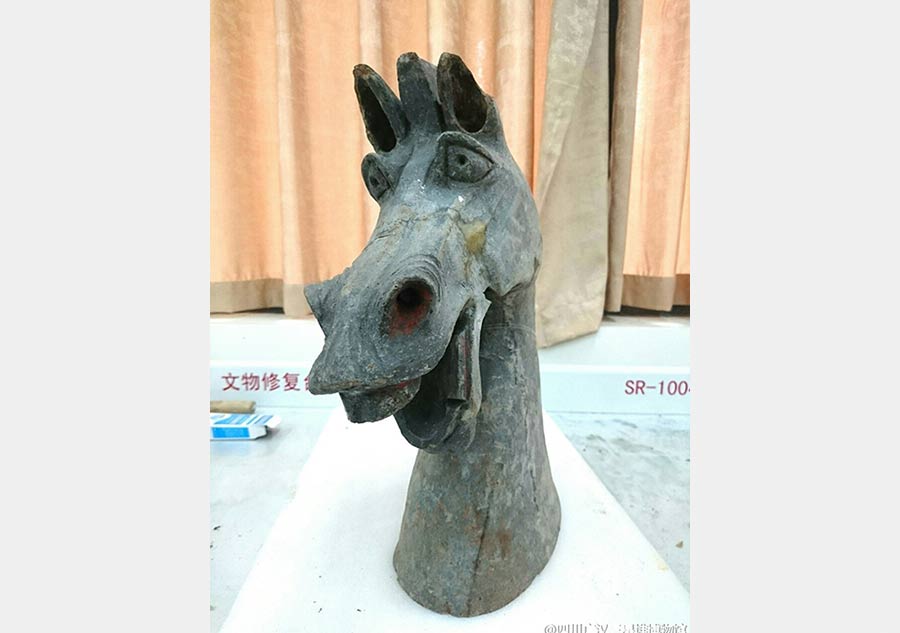 Horsehead-shaped relic a hit on the internet