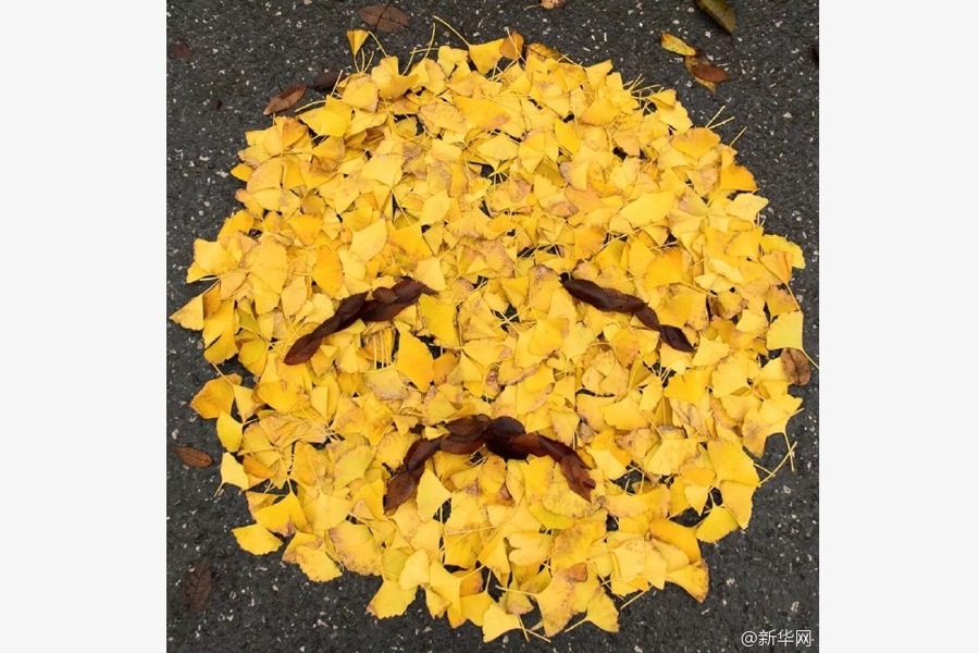 Leaves transform into emojis