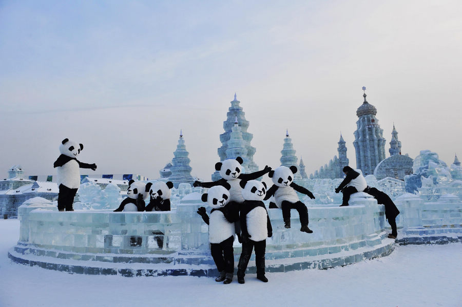 Visitors enjoy ice world