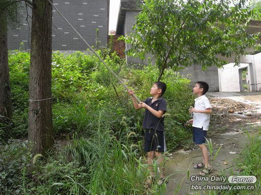 Children's Day special: Do you remember these games?