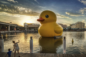 Rubber Duck is inflated in Hangzhou