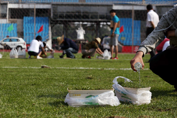 Bringing the pitch home