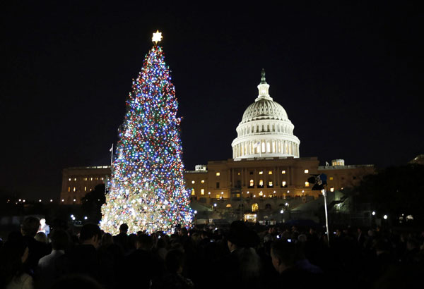 The US Capitol Christmas Tree
