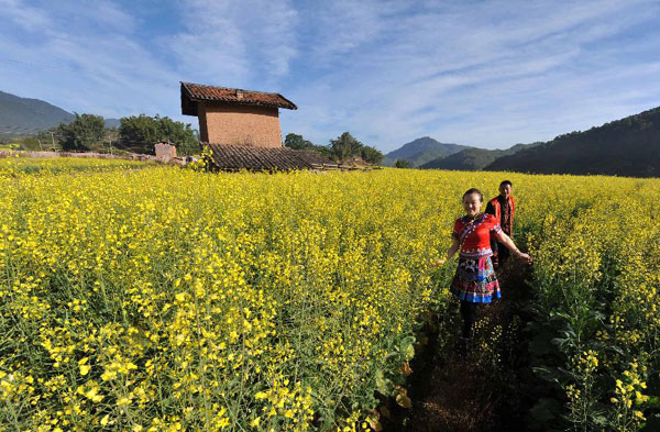 Plan a trip to colorful Yunnan
