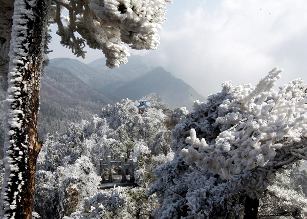 Gorgeous rime scenery in Lushan mountain