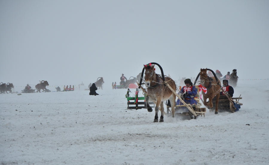Nadam festival gallops into Inner Mongolia