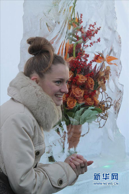 Scenery of ice flowers in Ukraine