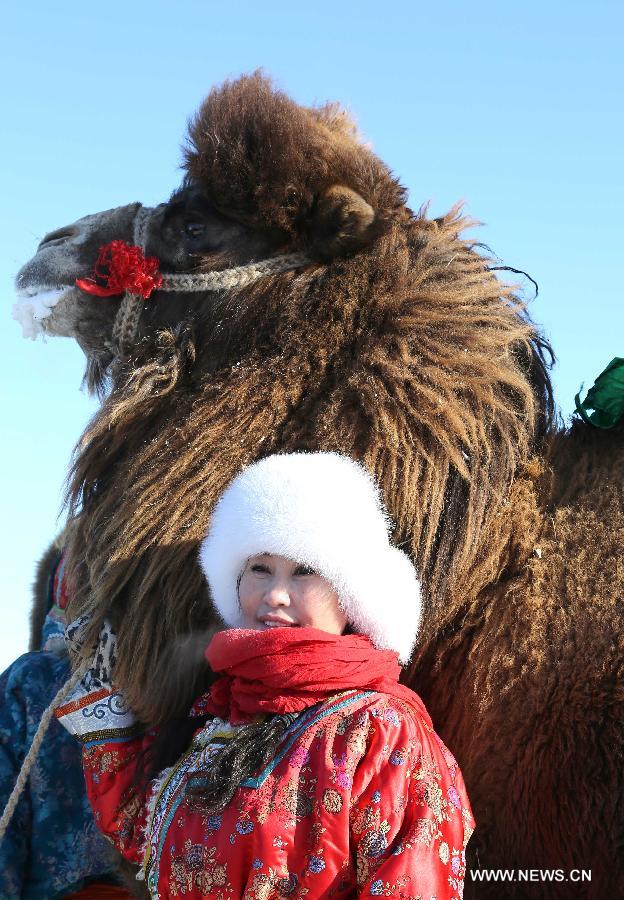 Camel cultural festival kicks off in Inner Mongolia