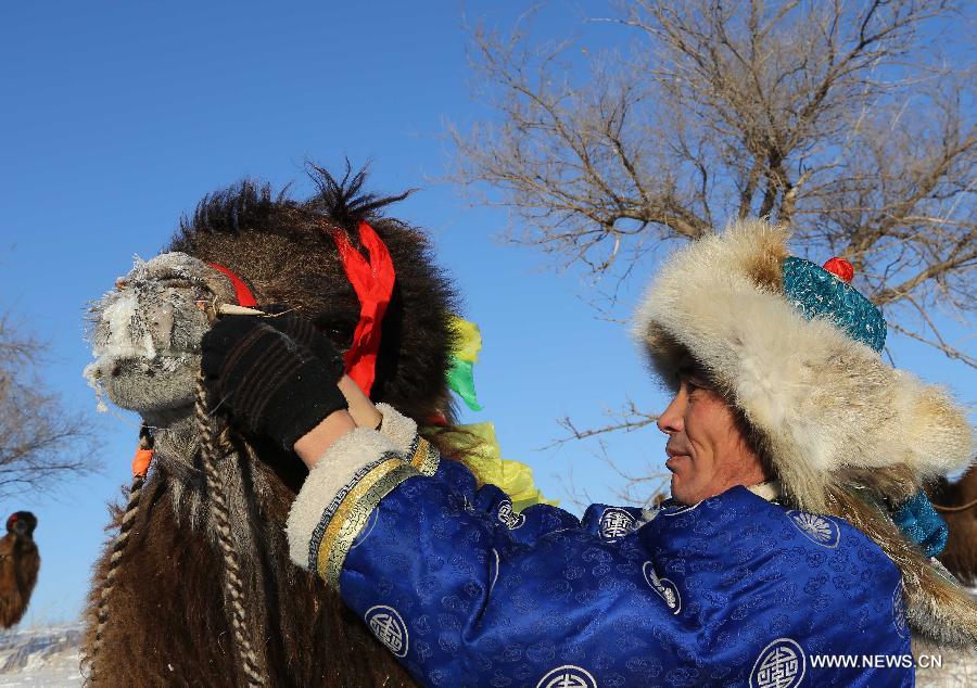 Camel cultural festival kicks off in Inner Mongolia
