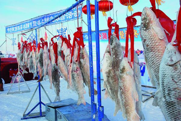 Frozen lake holds fish treasures for Mongolians