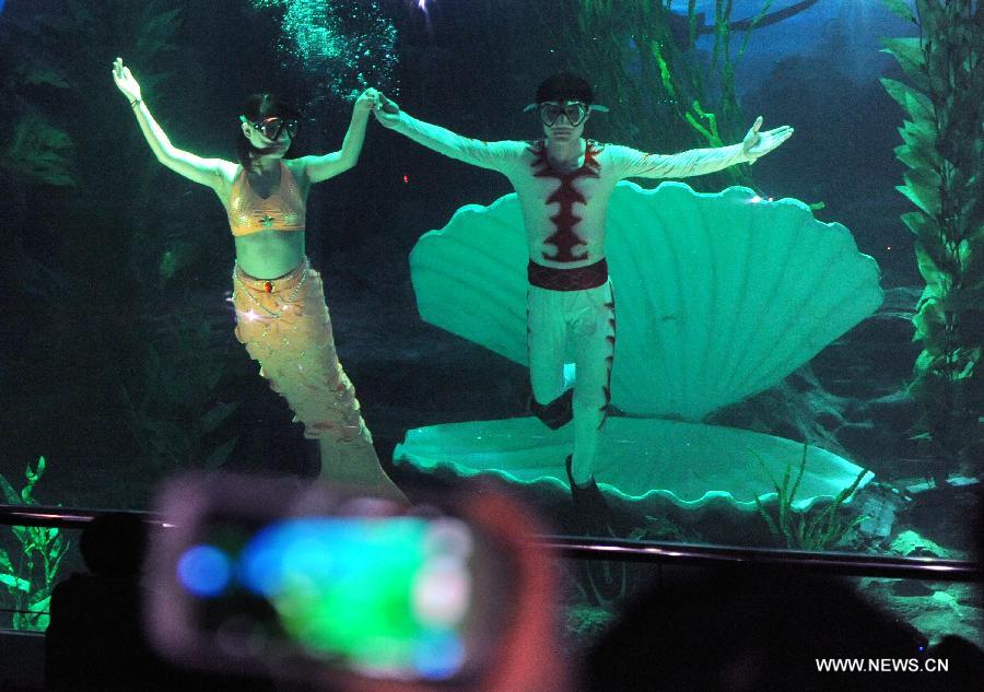 Underwater performance attracts visitors in Qingdao