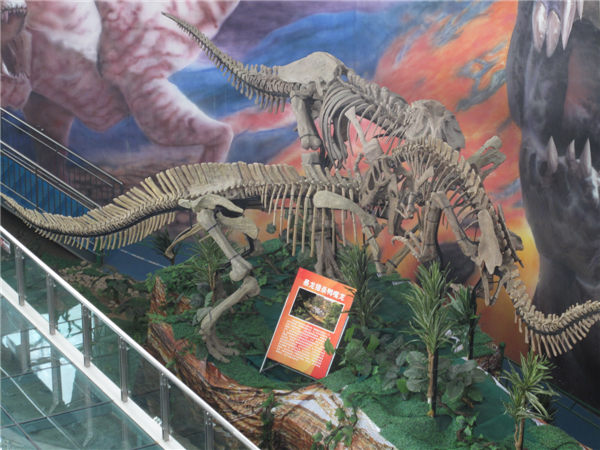 Where you can see thousands of dinosaur fossils