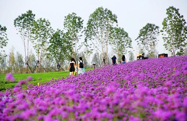 Tourists attracted to China's beauty