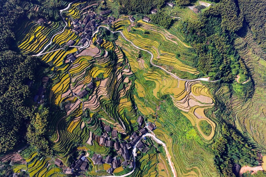 Aerial view of beautiful terraces in E China