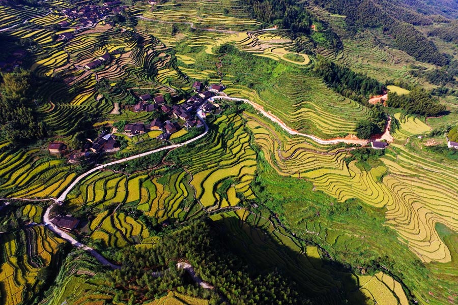 Aerial view of beautiful terraces in E China