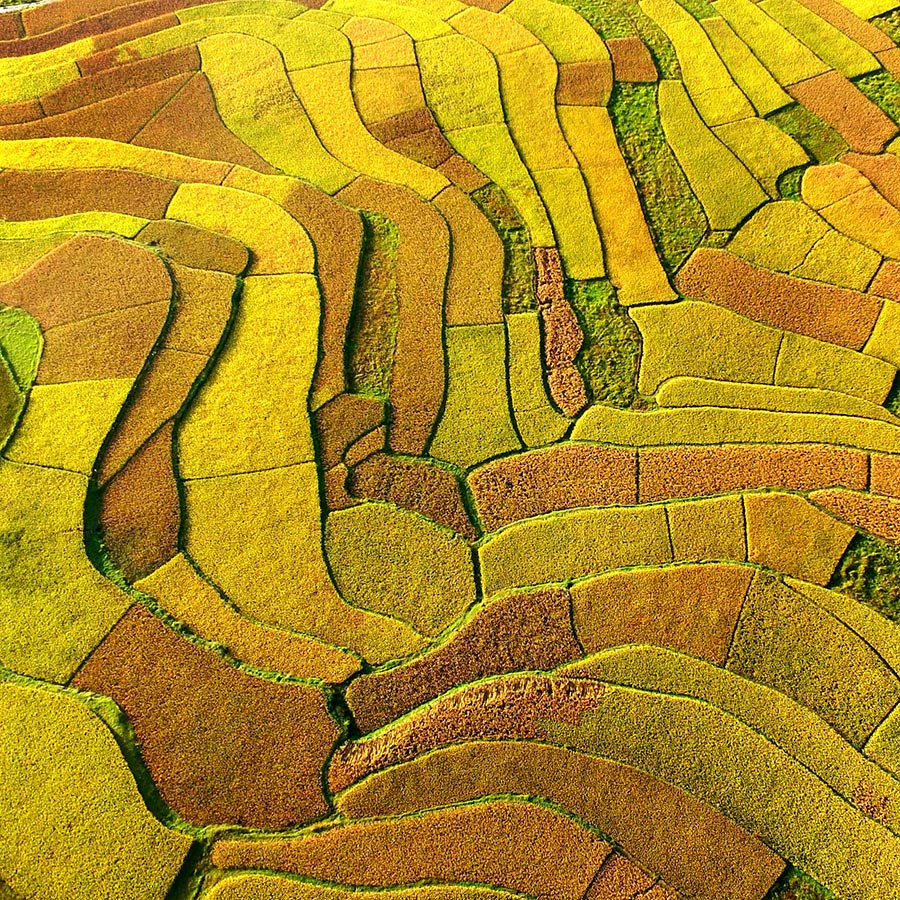Autumnal hues sweep China's scenery