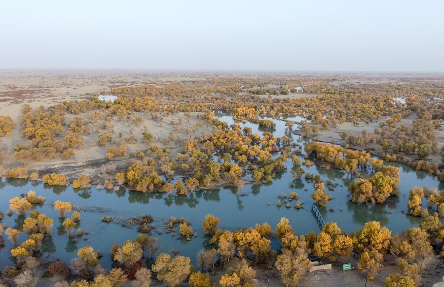 Scenery of Daxihaizi Reservoir on Tarim River in Xinjiang