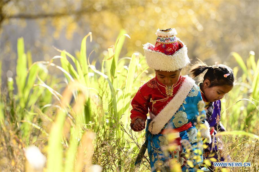 Autumn-colored scenery at Songba village in Qinghai