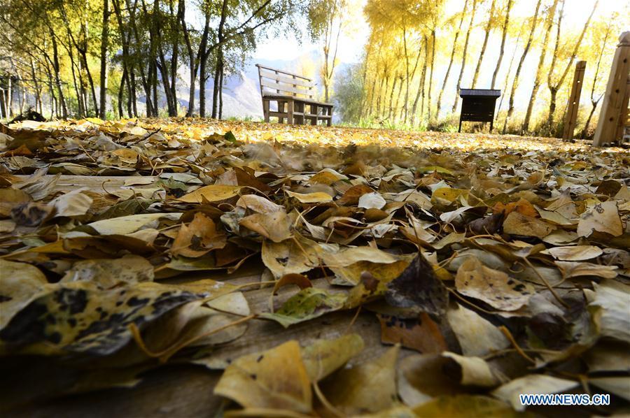 Autumn-colored scenery at Songba village in Qinghai