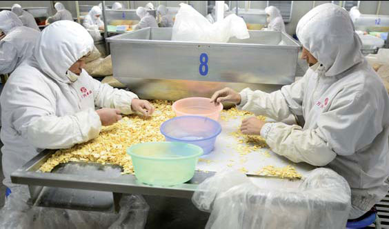 Big reward for small farmers
